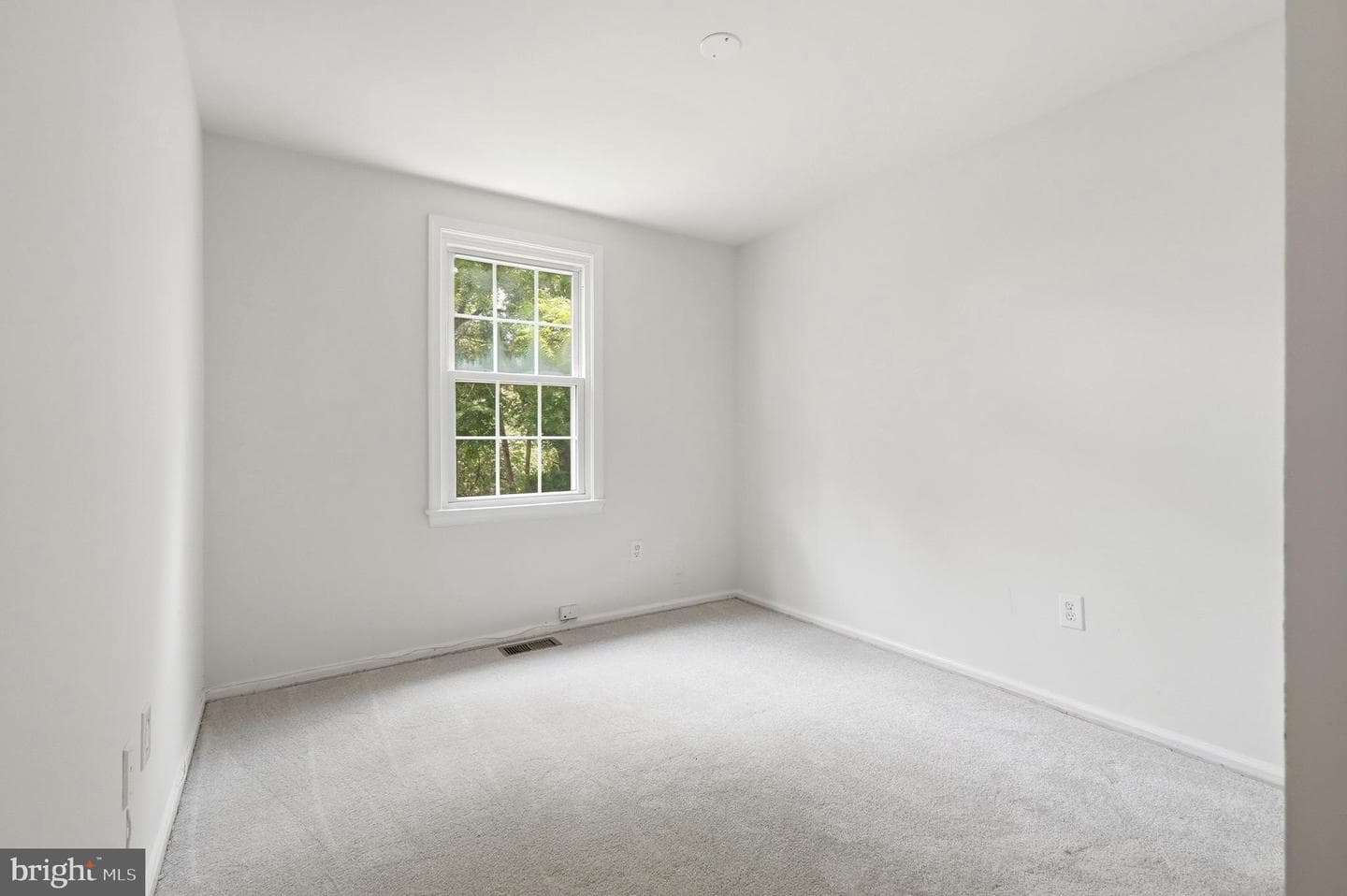 14314 Watery Mountain Court photo 18