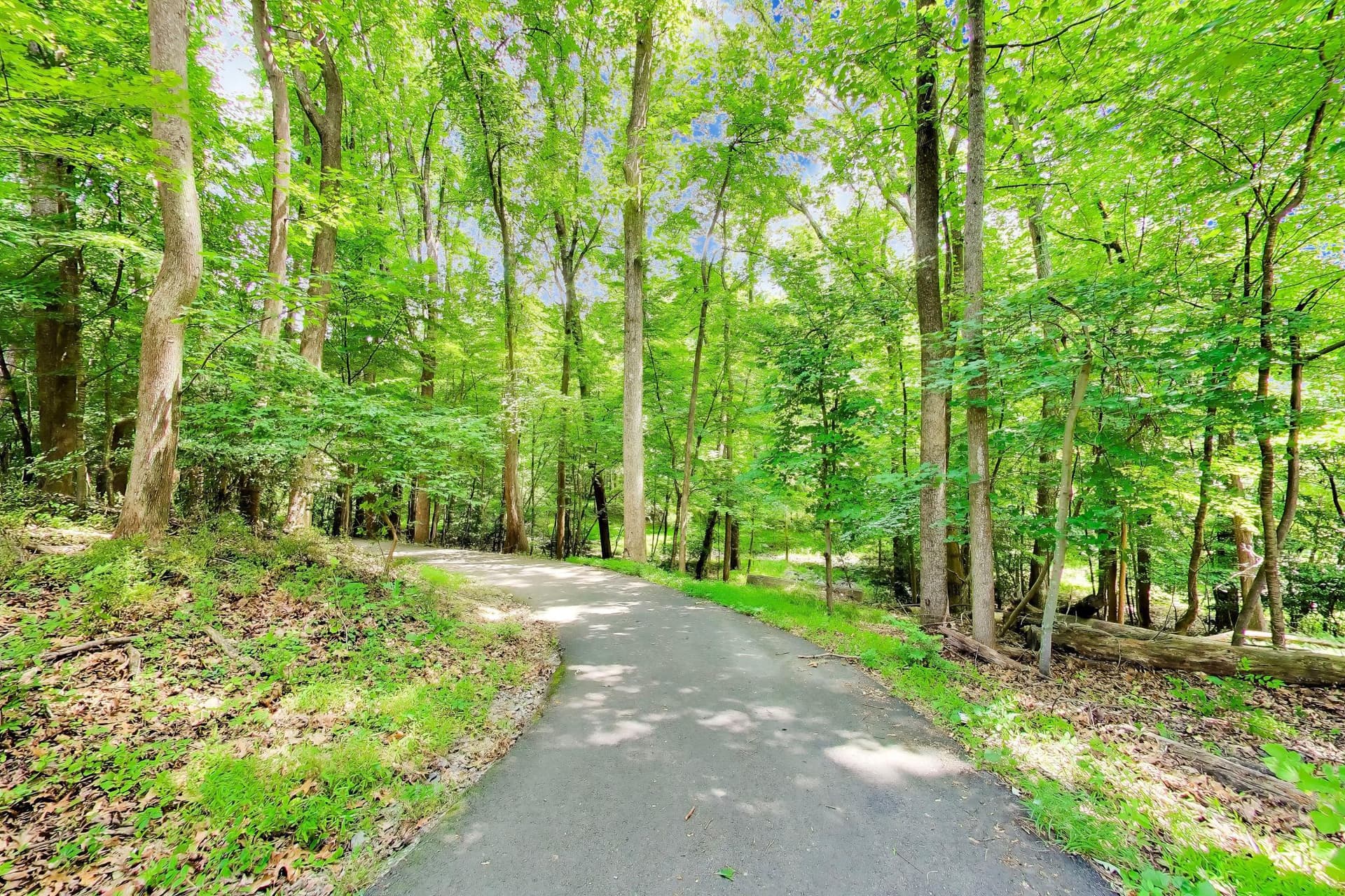 11830 Breton Court #23b photo 43