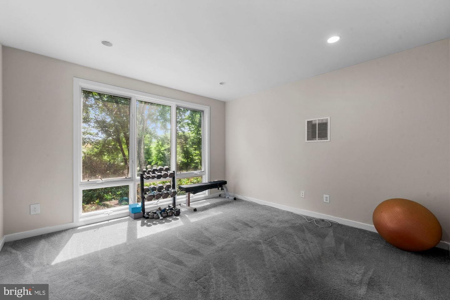 1316 Alps Drive photo 42