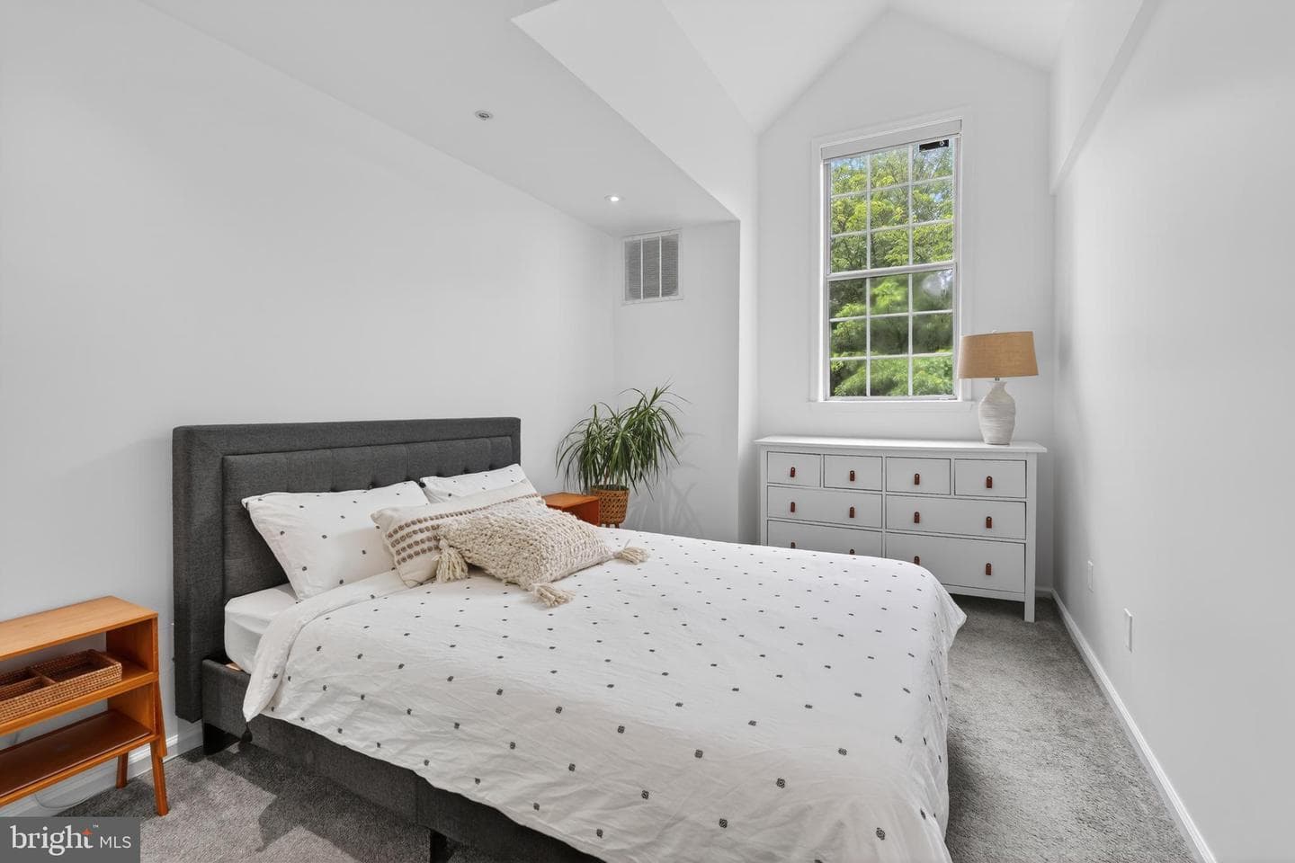 6862 Brindle Heath Way #202 photo 23