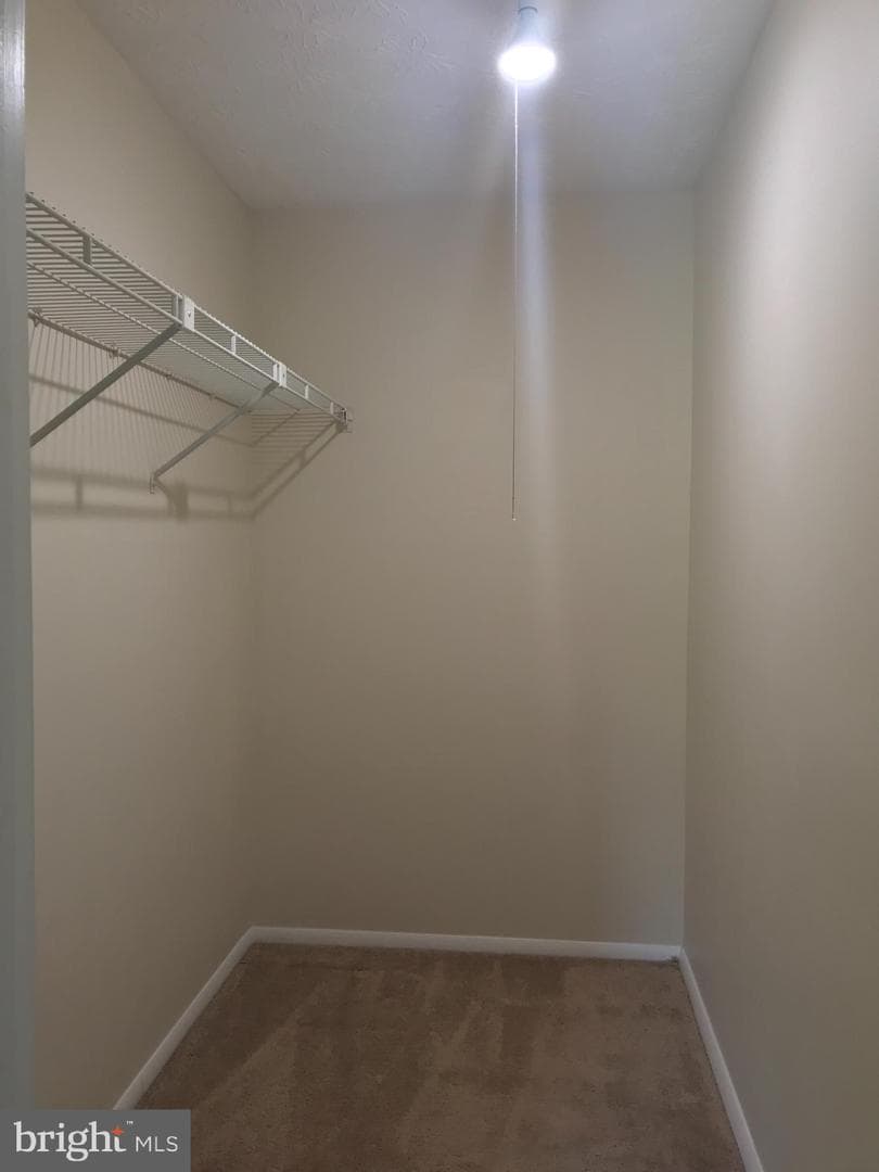 12144 Purple Sage Court photo 15