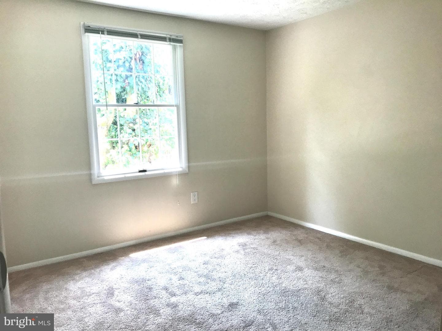 12144 Purple Sage Court photo 17