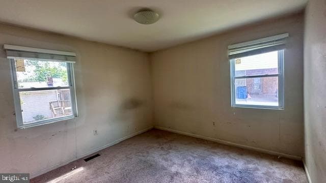 7907 Colorado Springs Drive photo 14