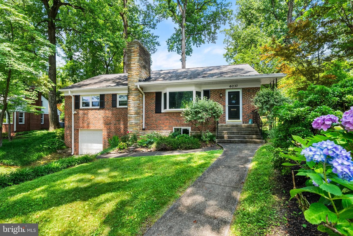 6237 Cheryl Drive photo 3