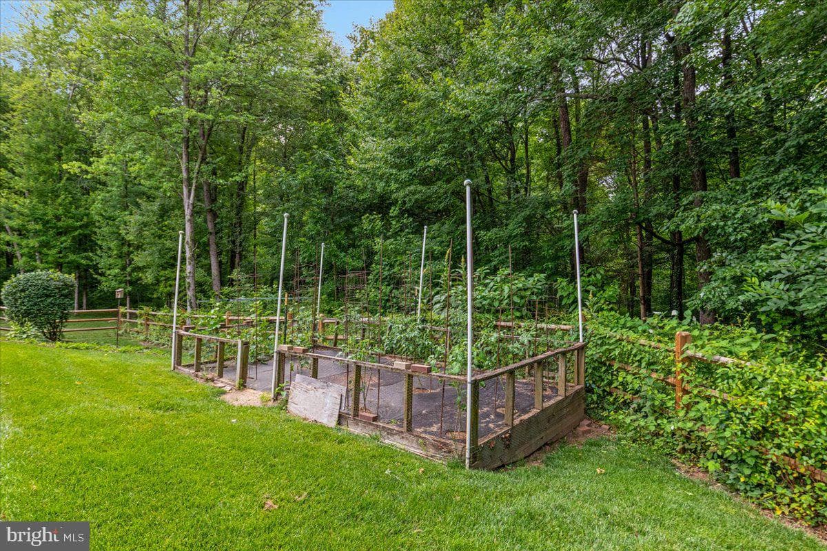 1501 Judd Court photo 43