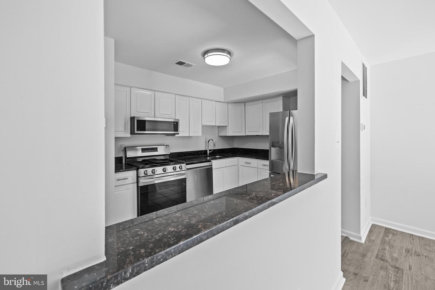 11924 Travistock Court photo 12