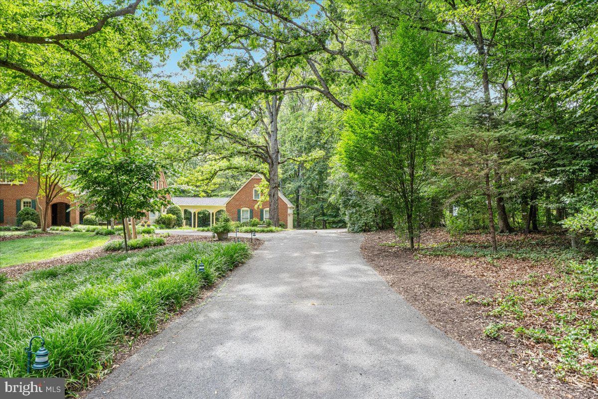 7131 Woodland Drive photo 90