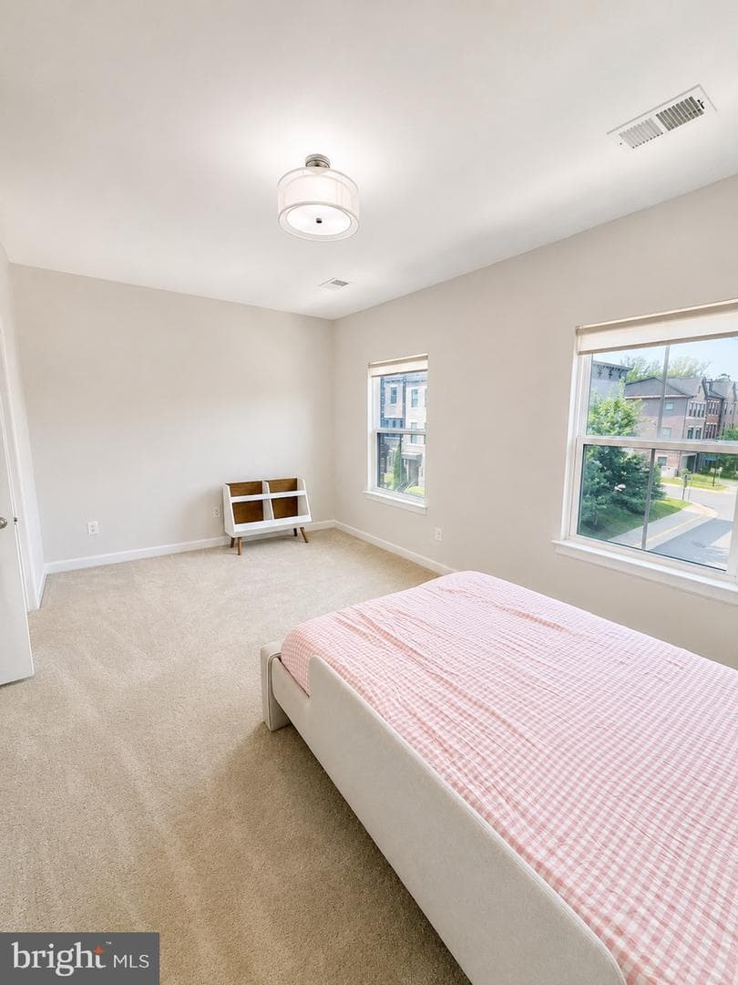 9251 Wood Violet Court photo 23