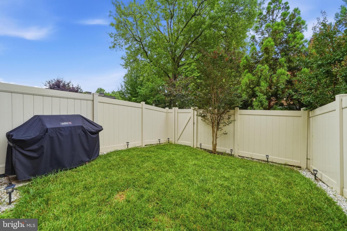 9251 Wood Violet Court photo 38