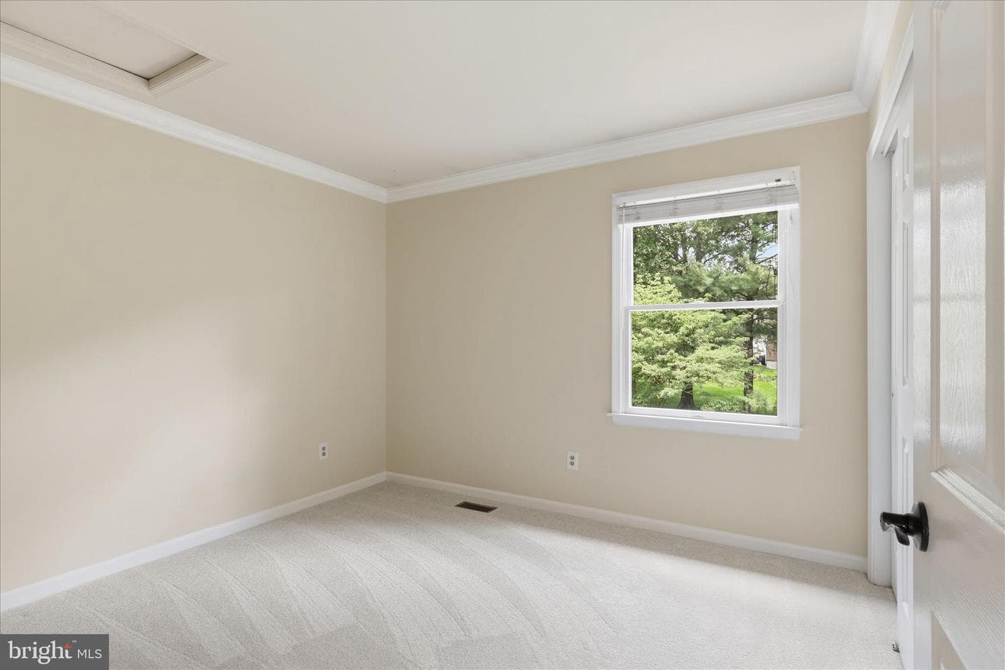 3801 Wheatgrain Lane photo 30