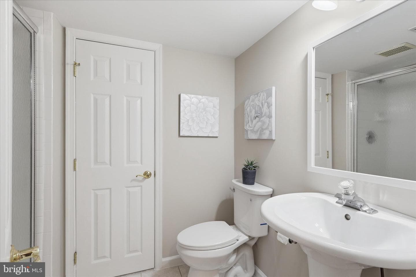 3801 Wheatgrain Lane photo 39