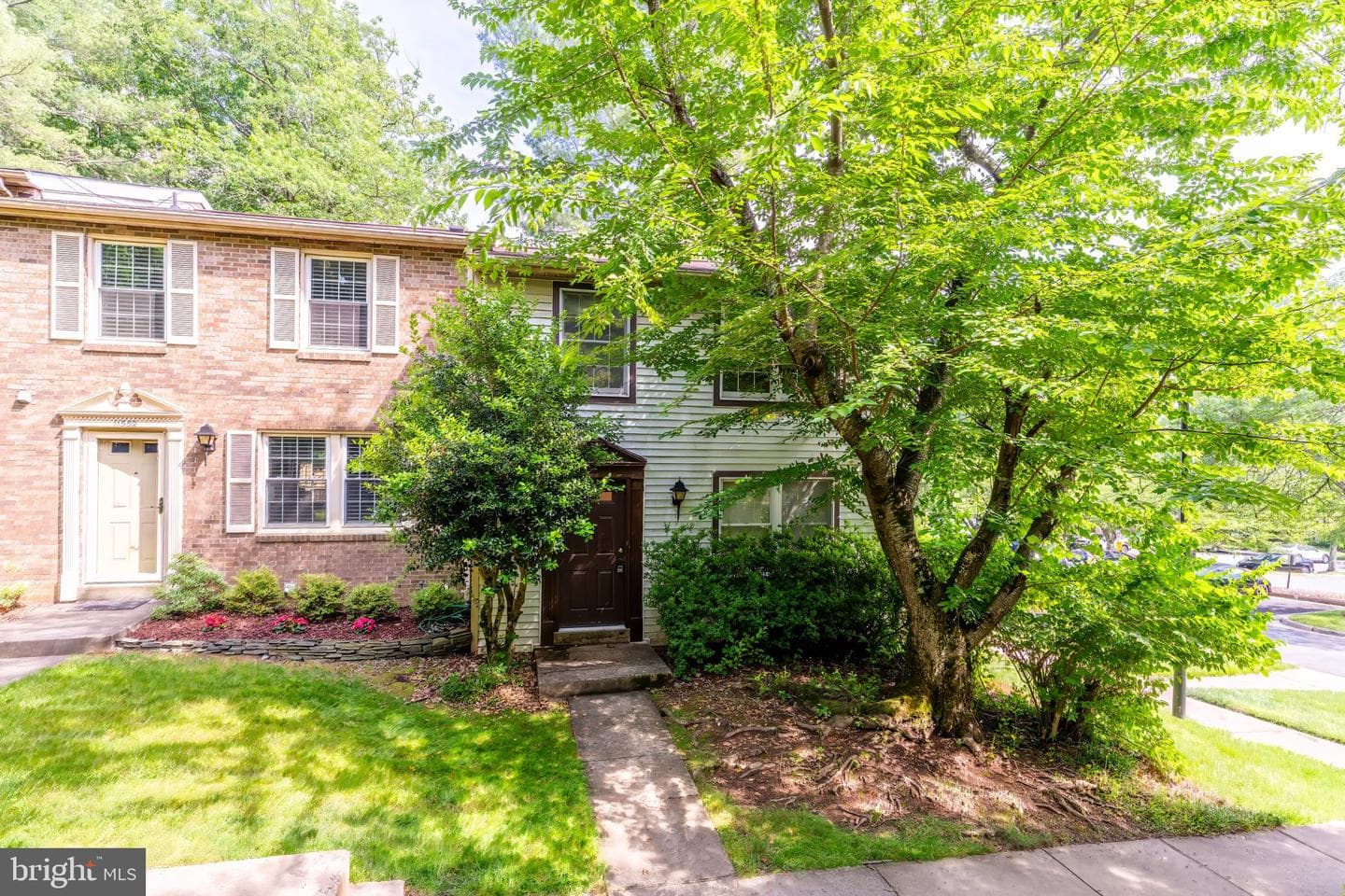 11550 Ivy Bush Court photo 2