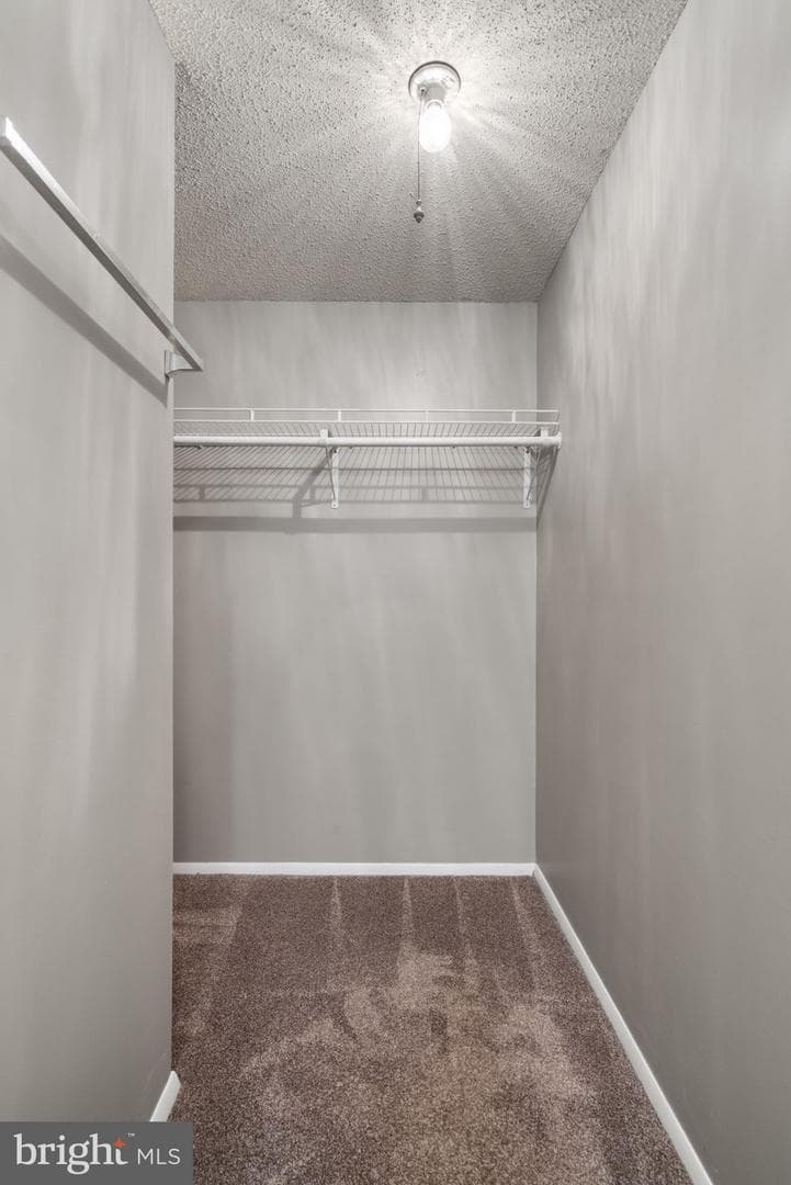 8164 Curving Creek Court photo 16