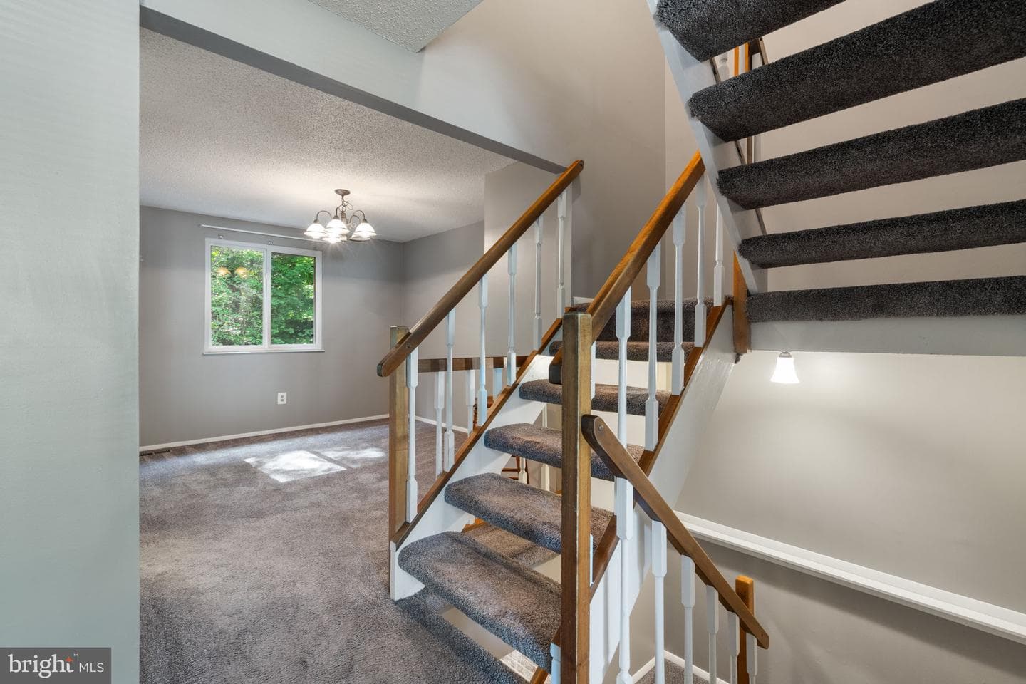 8164 Curving Creek Court photo 6
