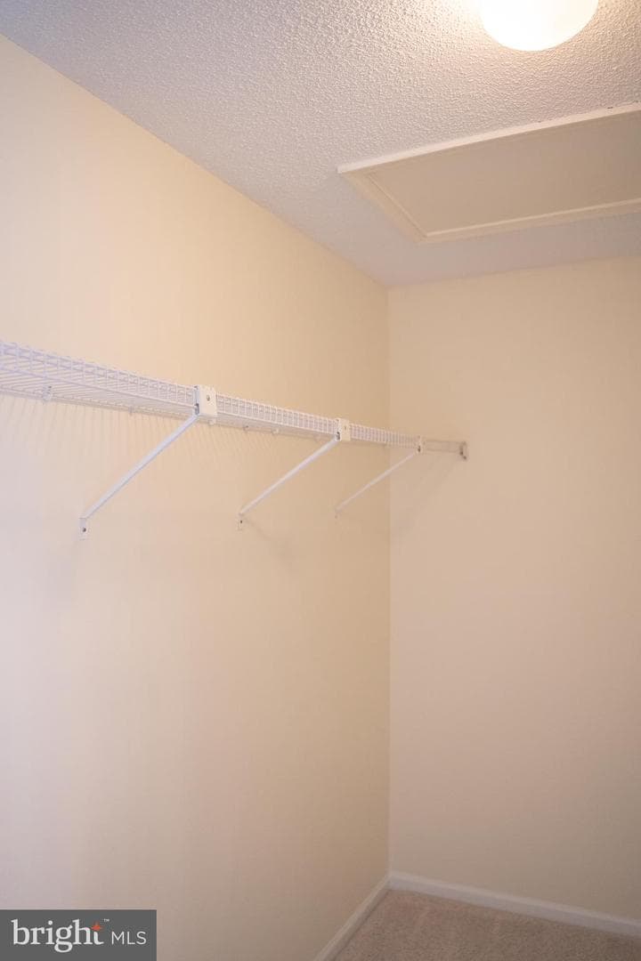 12101 Greenwood Court #301 photo 48
