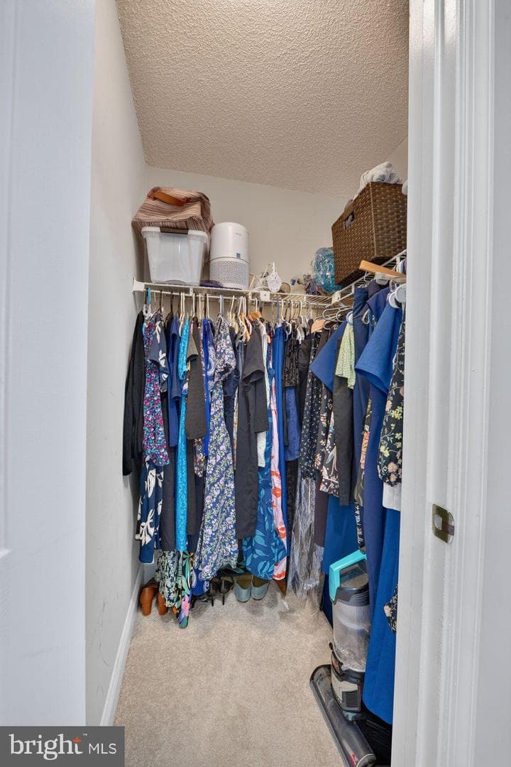 12103 Green Ledge Court #101 photo 17