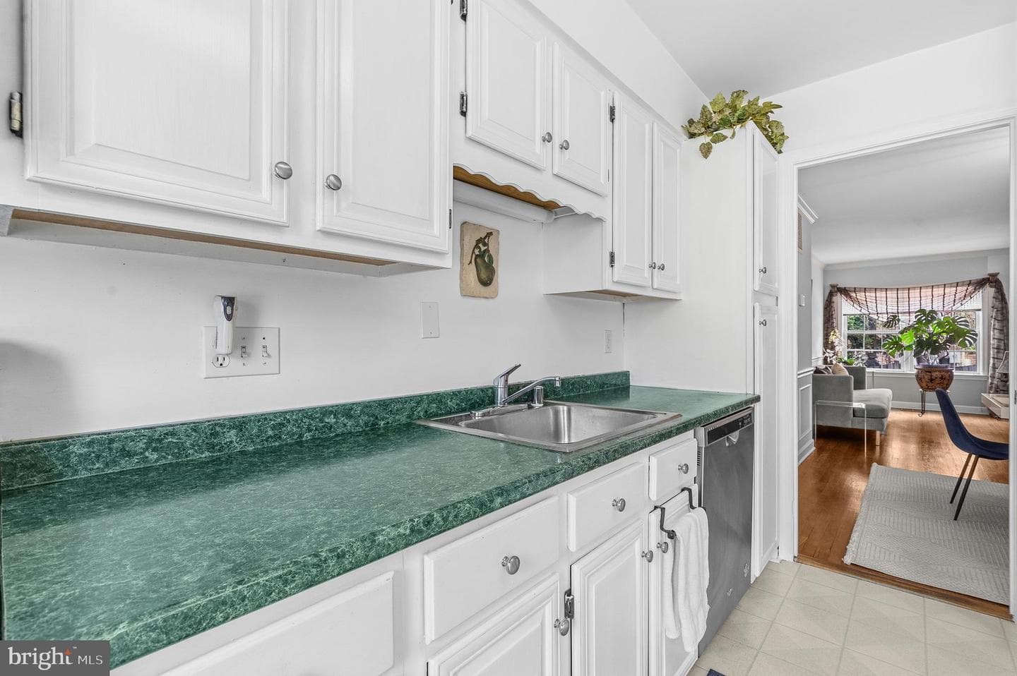 3050 Federal Hill Drive photo 13