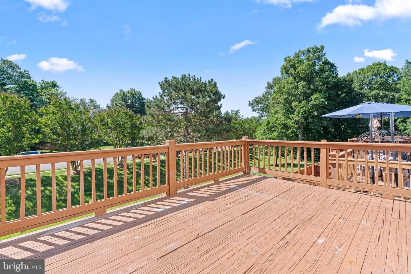 6749 Cardinal Woods Court photo 32