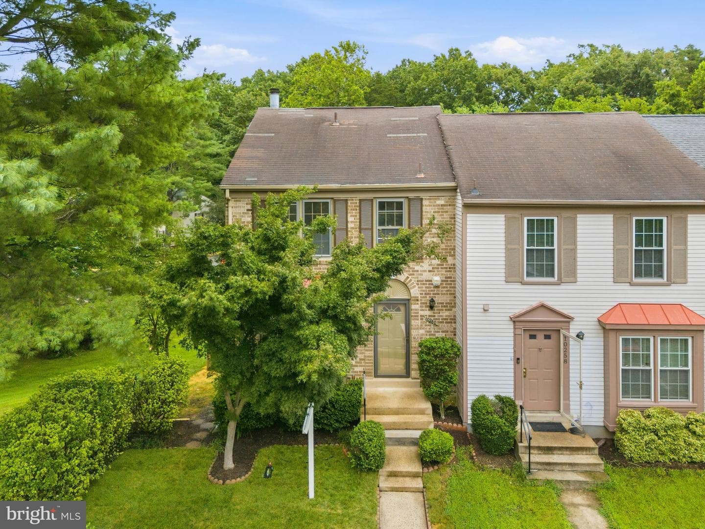 10260 Eagle Nest Court photo 3