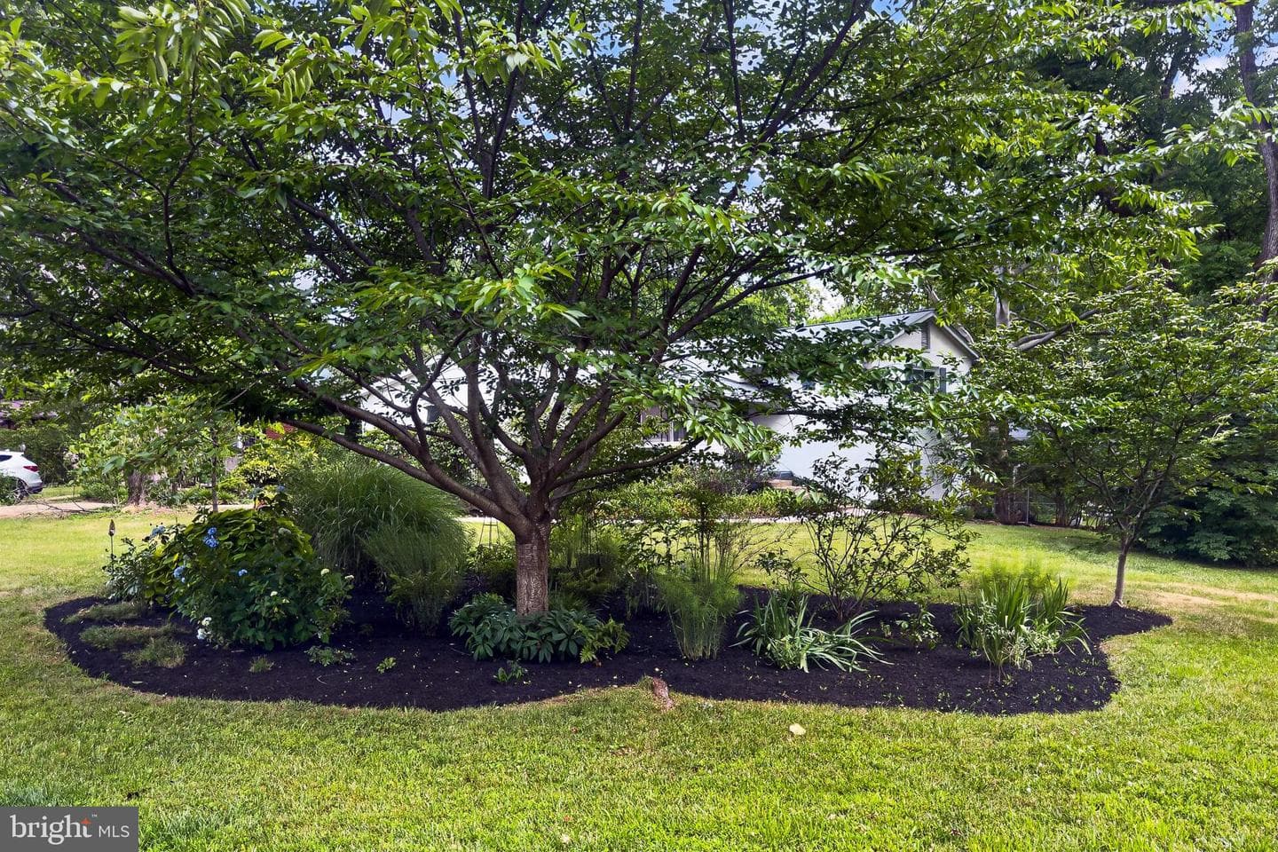 3478 Mildred Drive photo 39