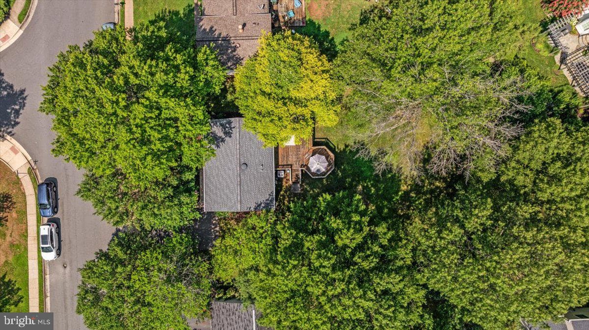13024 Farthingale Drive photo 41