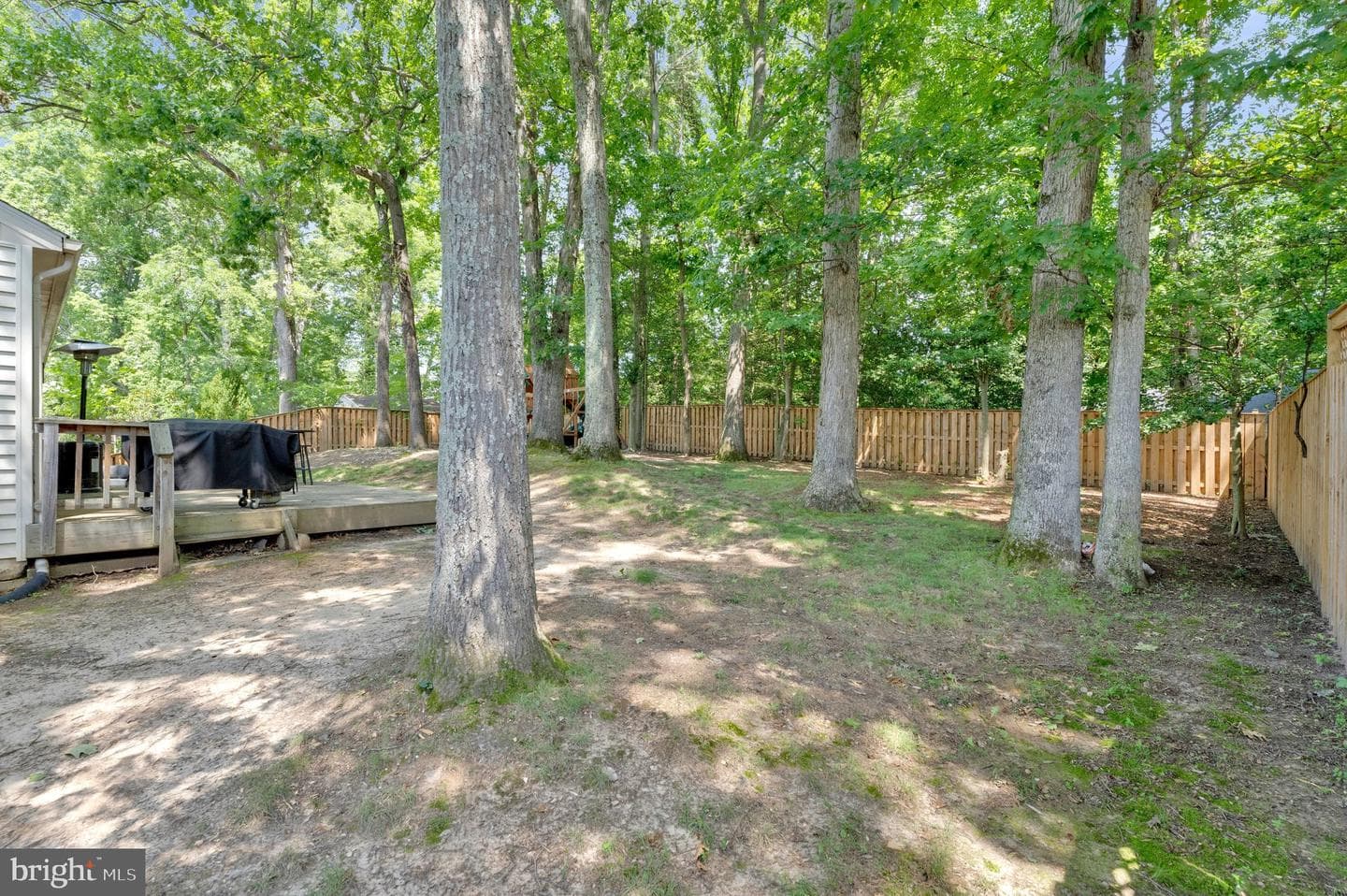 10816 Broadwater Drive photo 49
