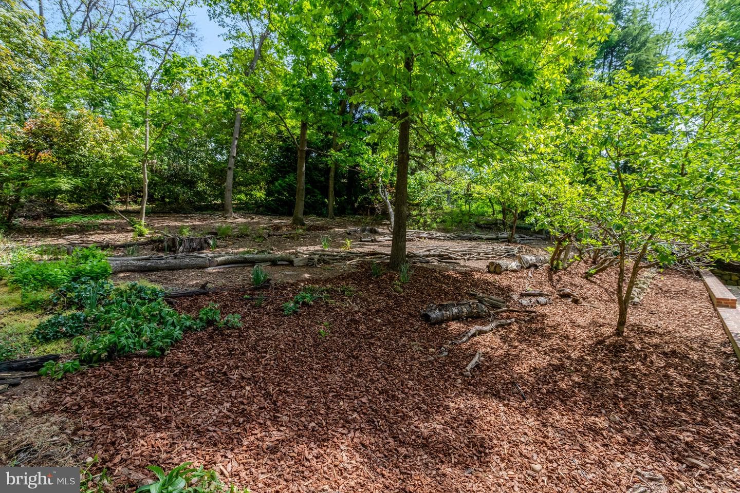 7413 Rebecca Drive photo 59