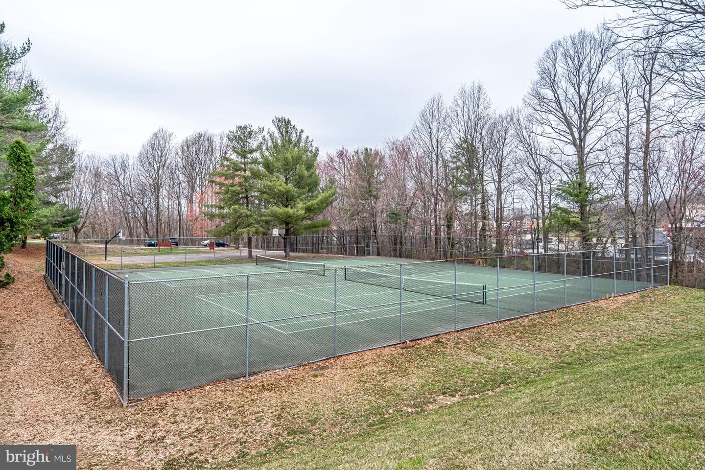 12336 Field Lark Court photo 29