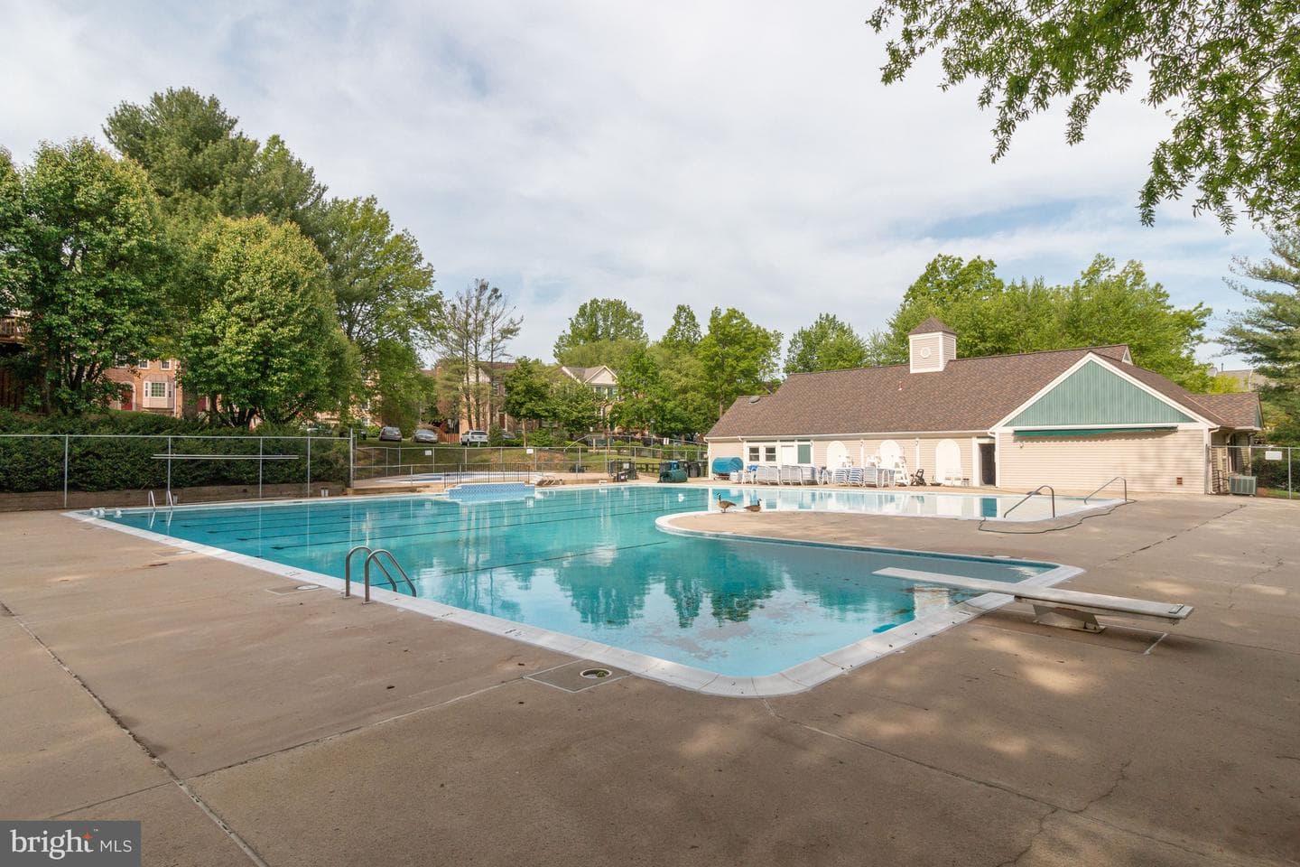 12336 Field Lark Court photo 37