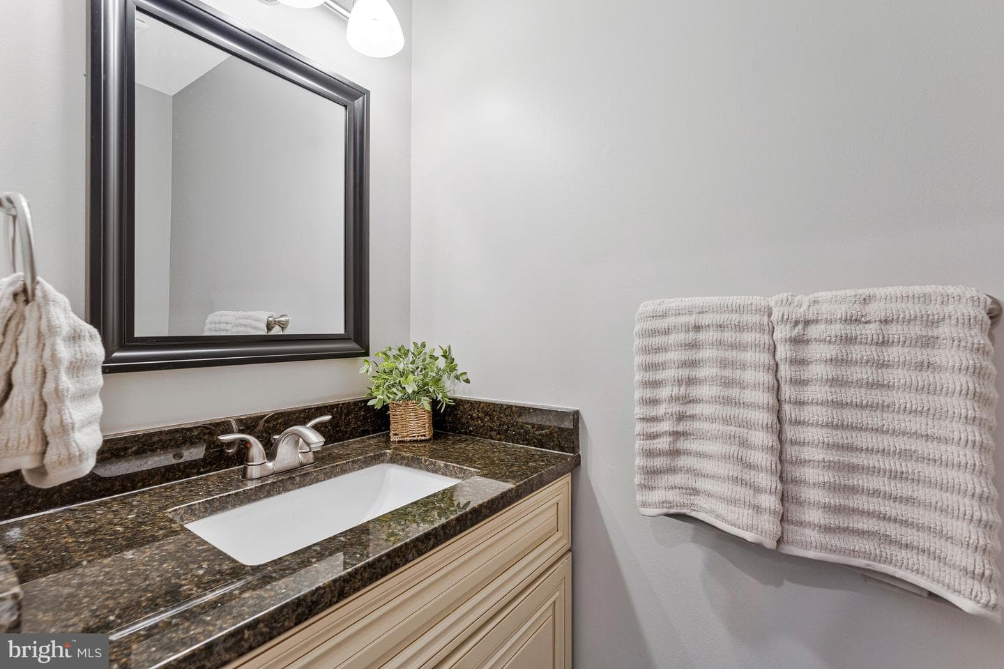 12336 Field Lark Court photo 8