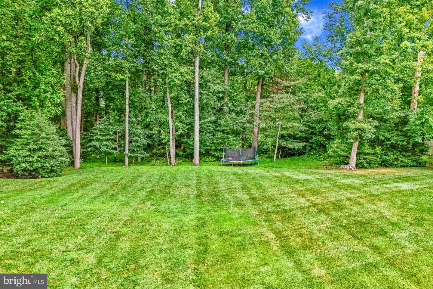 11556 Holly Briar Lane photo 7
