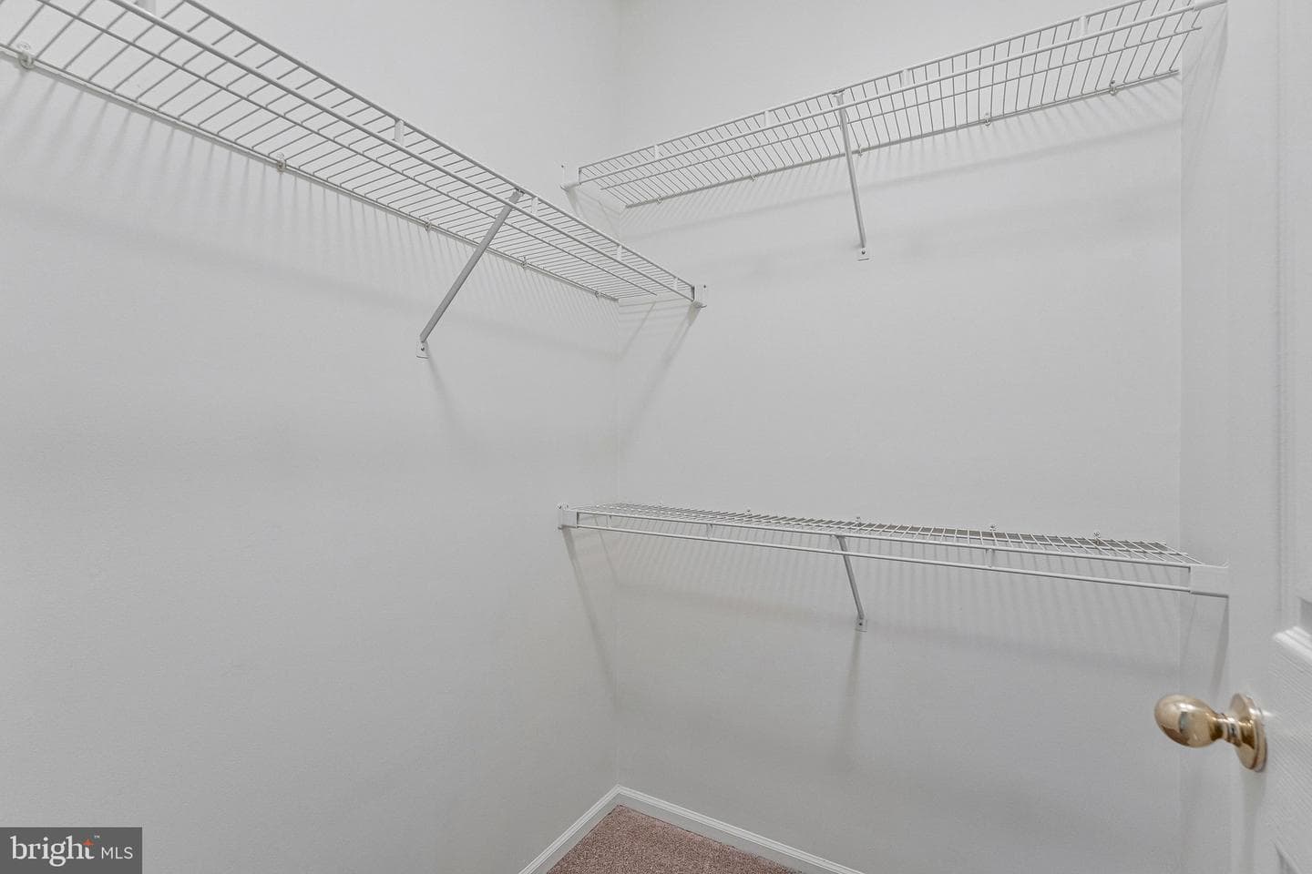 14313 Climbing Rose Way # 205 photo 17