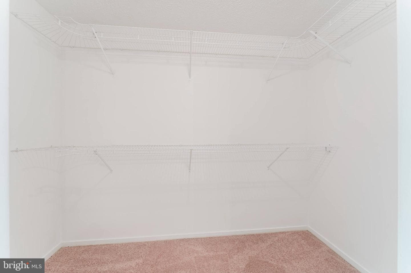 8407 Chillum Court photo 34