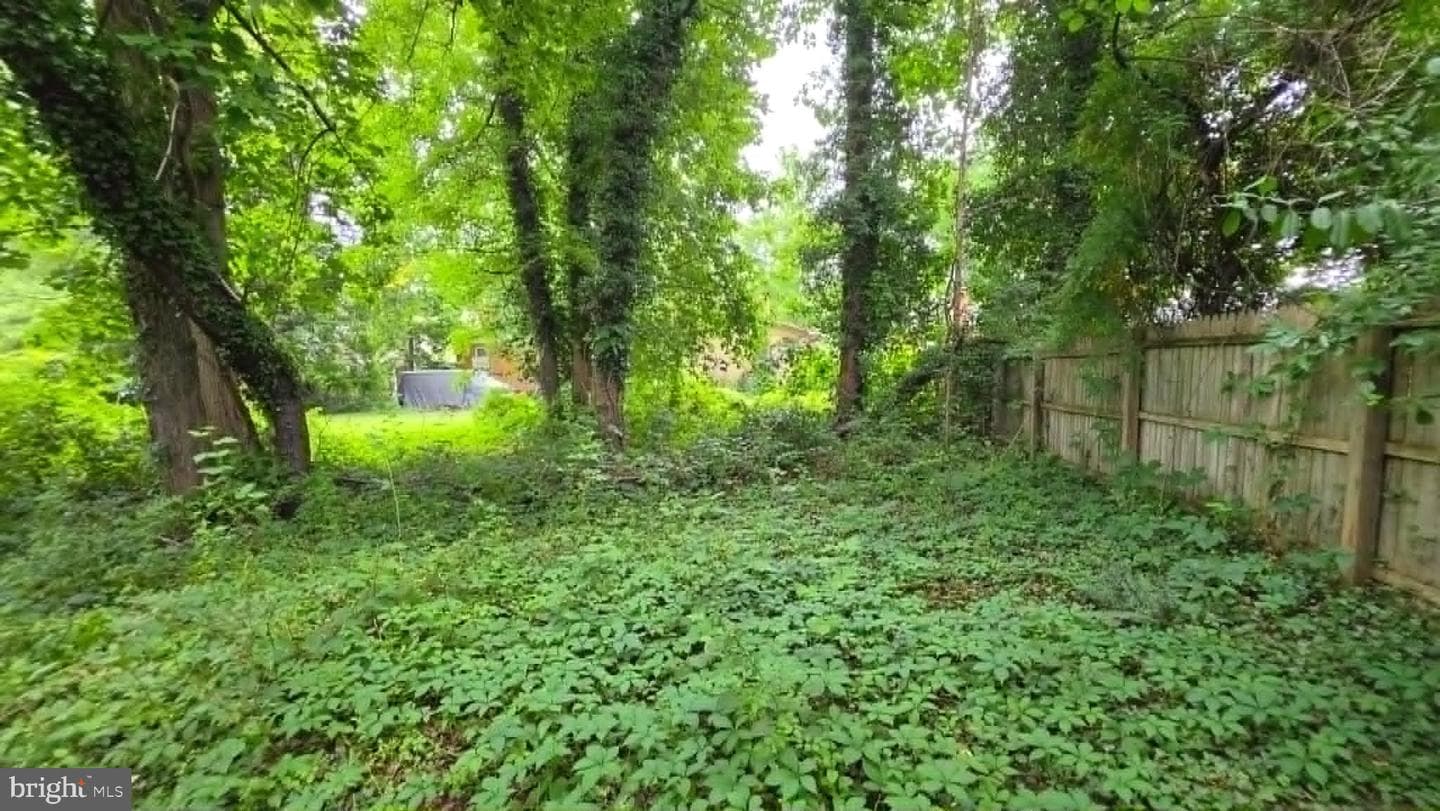 1644 La Salle Avenue photo 5