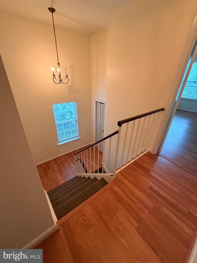 8818 Ridge Hollow Court photo 13
