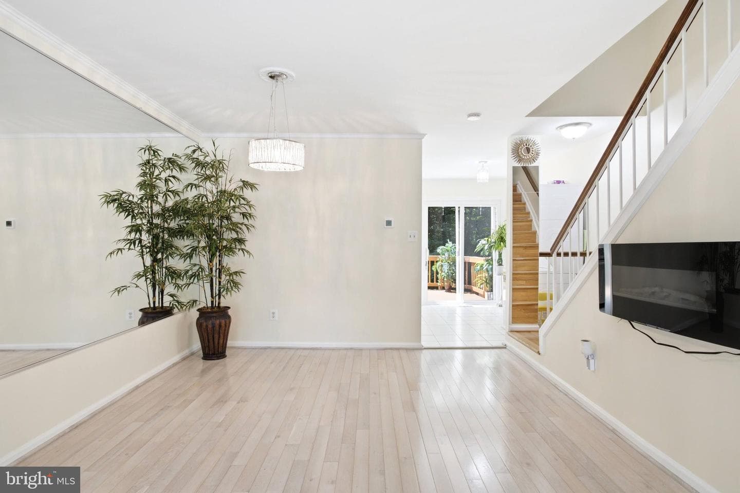 8434 Springfield Oaks Drive photo 13