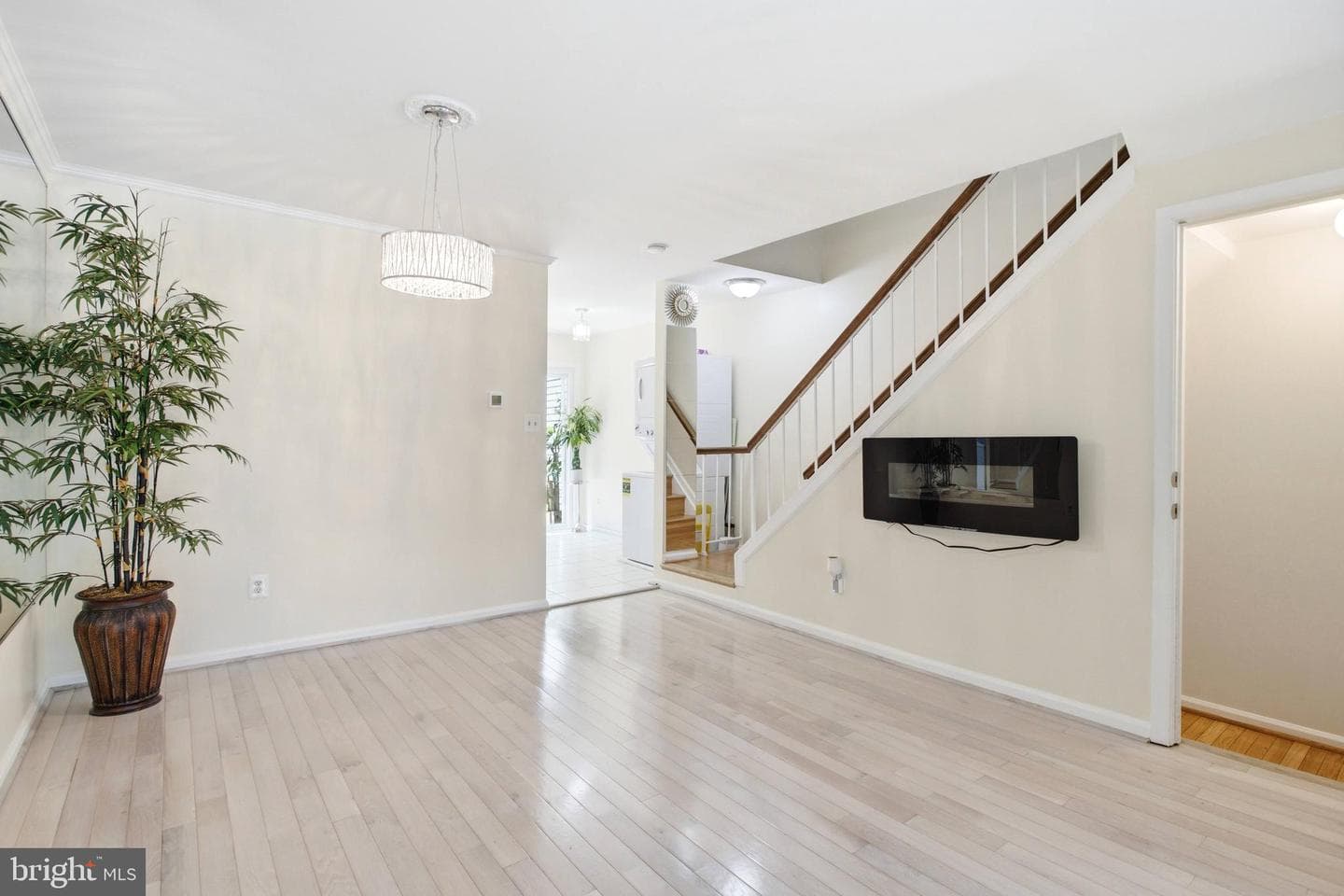8434 Springfield Oaks Drive photo 15