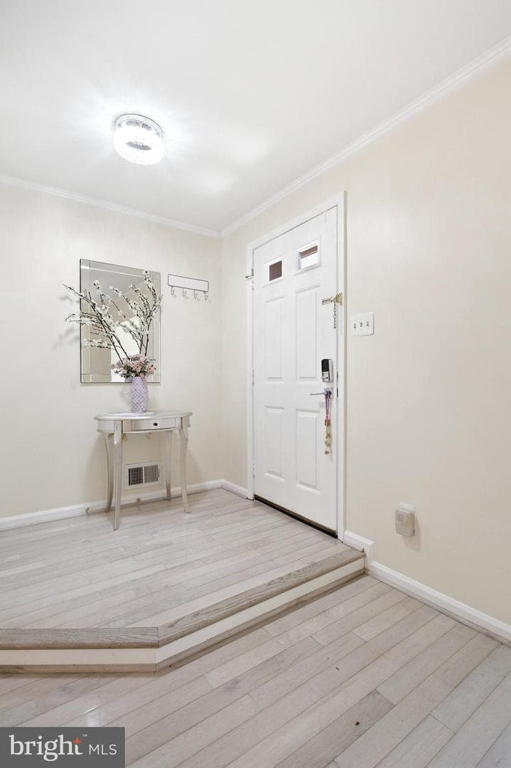 8434 Springfield Oaks Drive photo 18