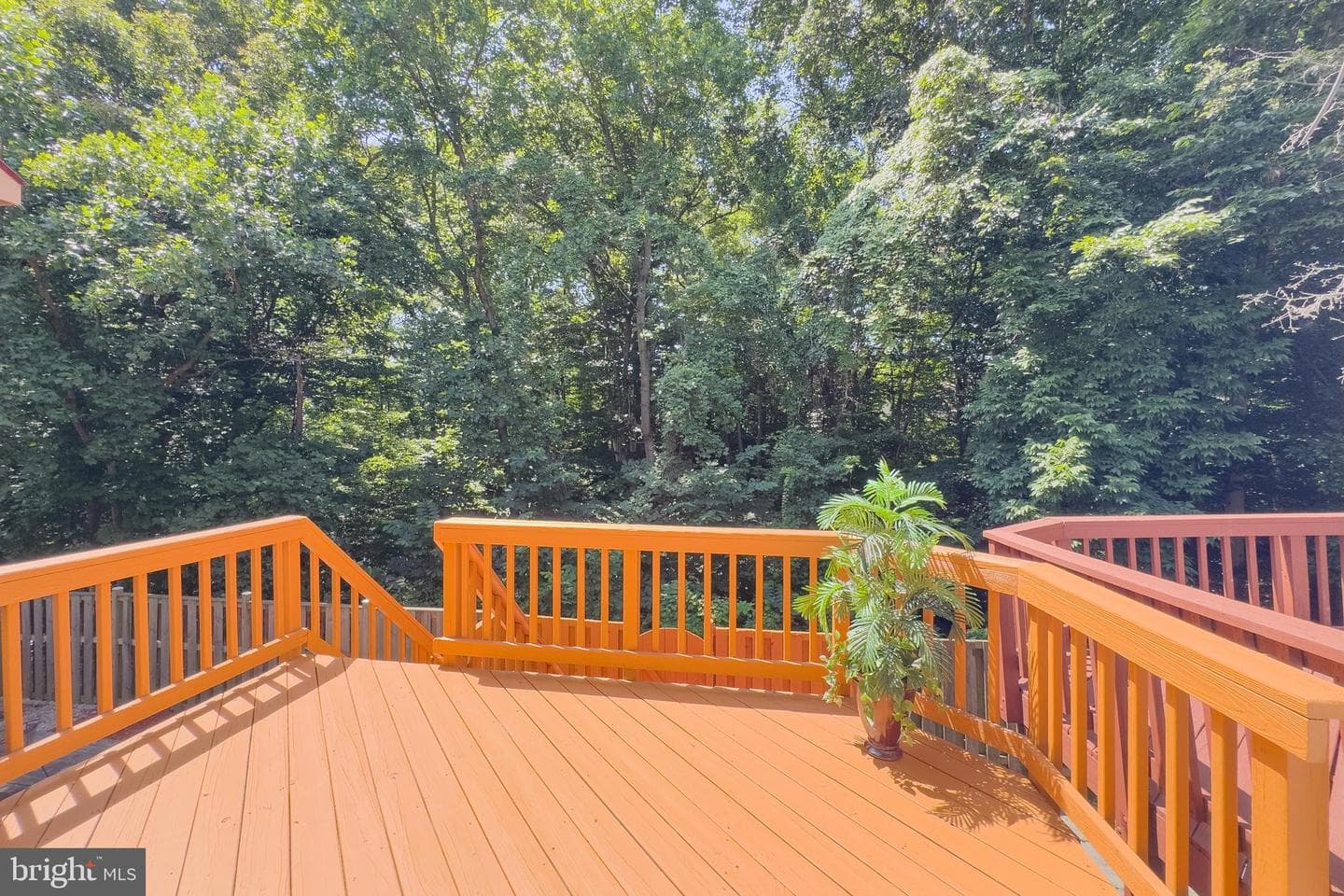 8434 Springfield Oaks Drive photo 38