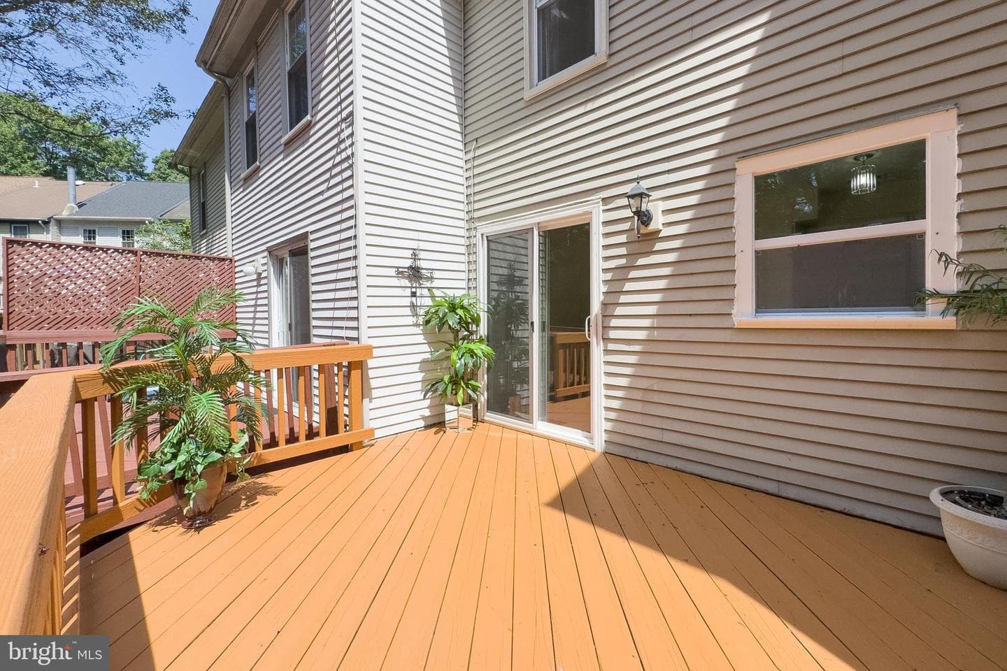 8434 Springfield Oaks Drive photo 41
