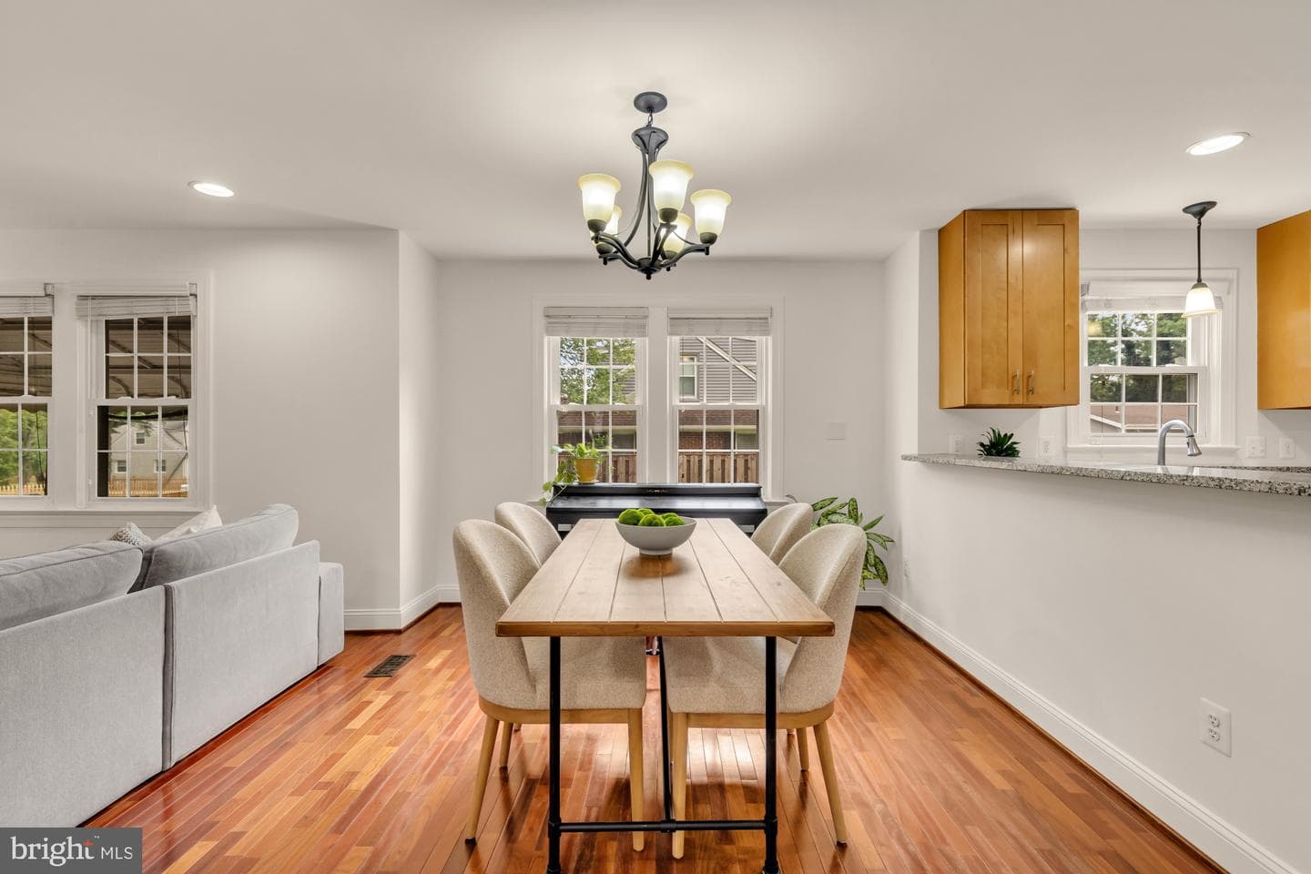 8604 Woodlawn Court photo 9