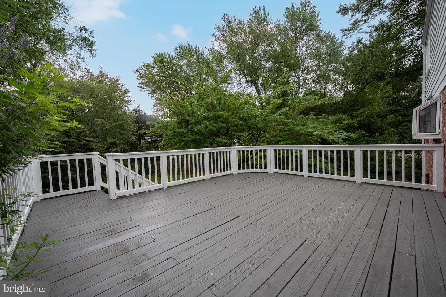 9005 Chickawane Court photo 35