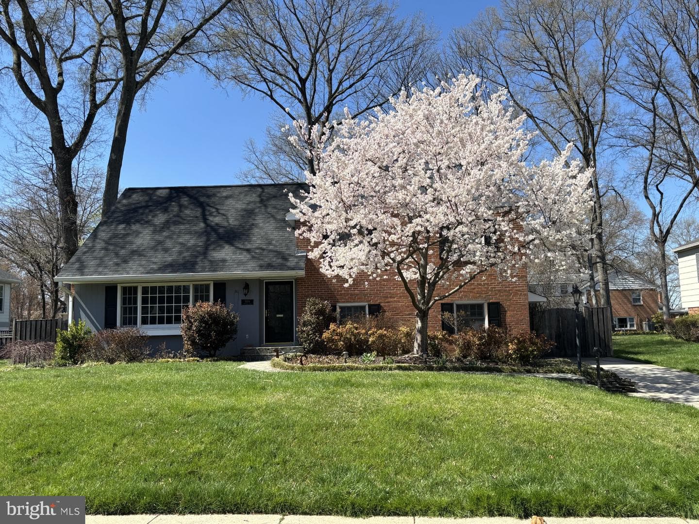 8506 Hitching Post Lane, Alexandria