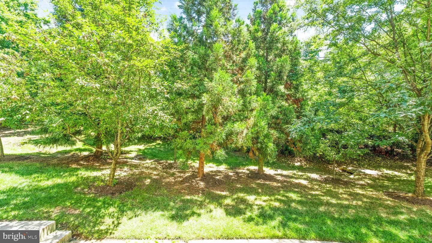 4427 Beechstone Ln photo 45