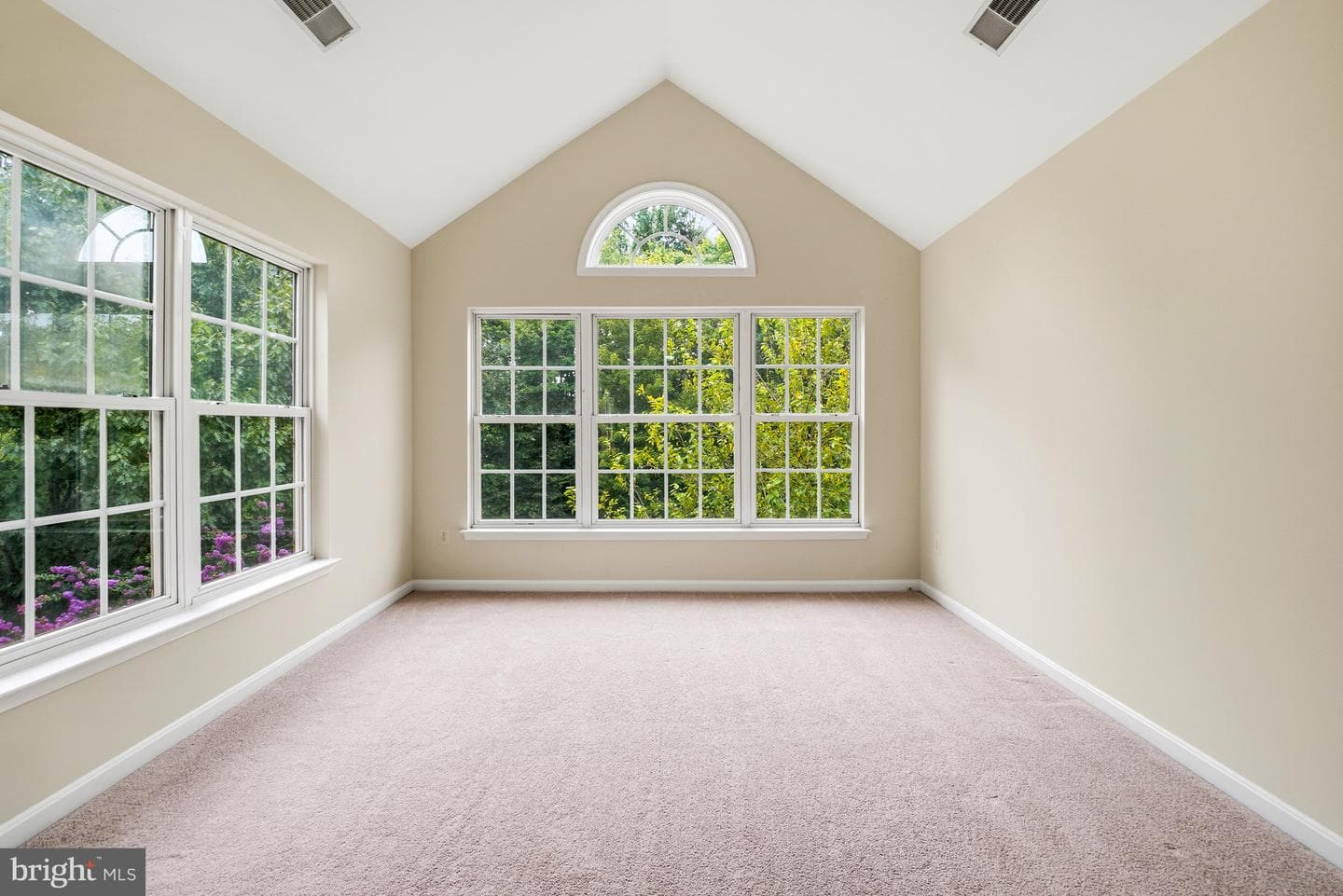 14605 Illuminati Way photo 29