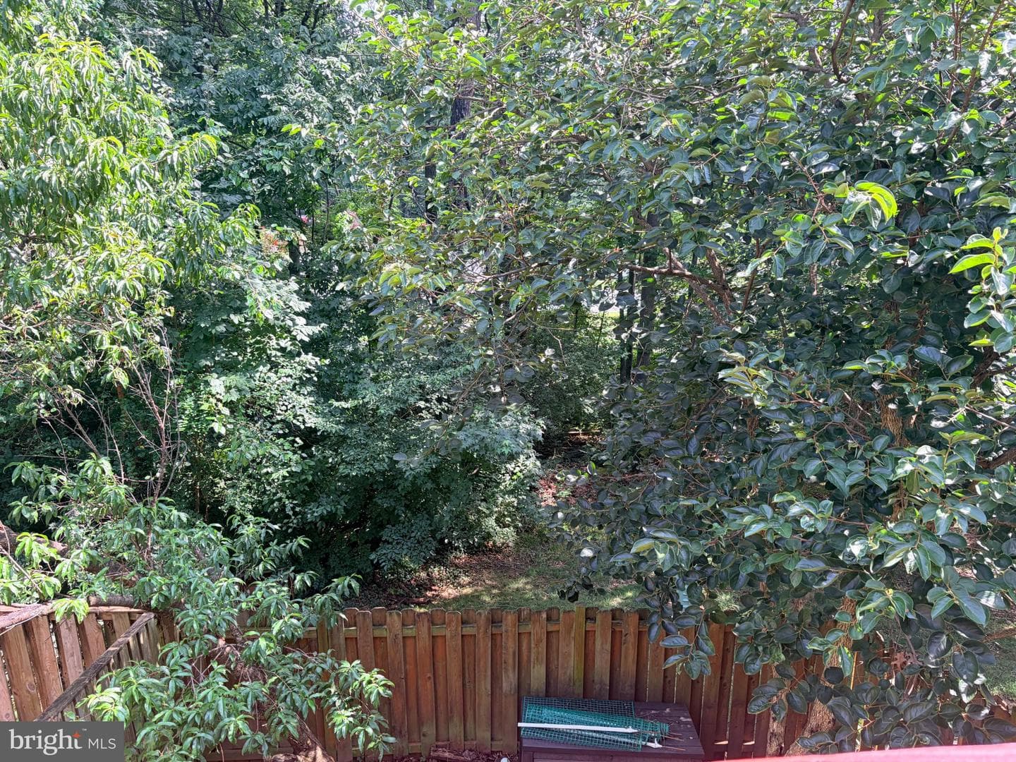 14942 Ampstead Court photo 7