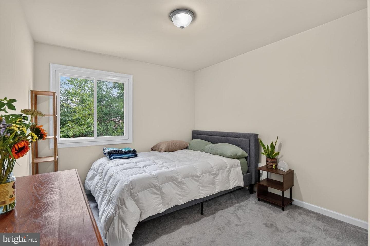 858 Dogwood Court photo 26