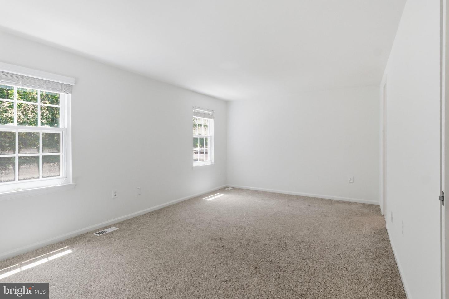10100 Walnut Wood Court photo 20