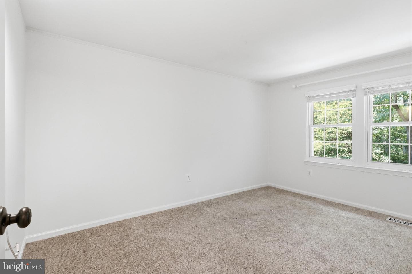 10100 Walnut Wood Court photo 27