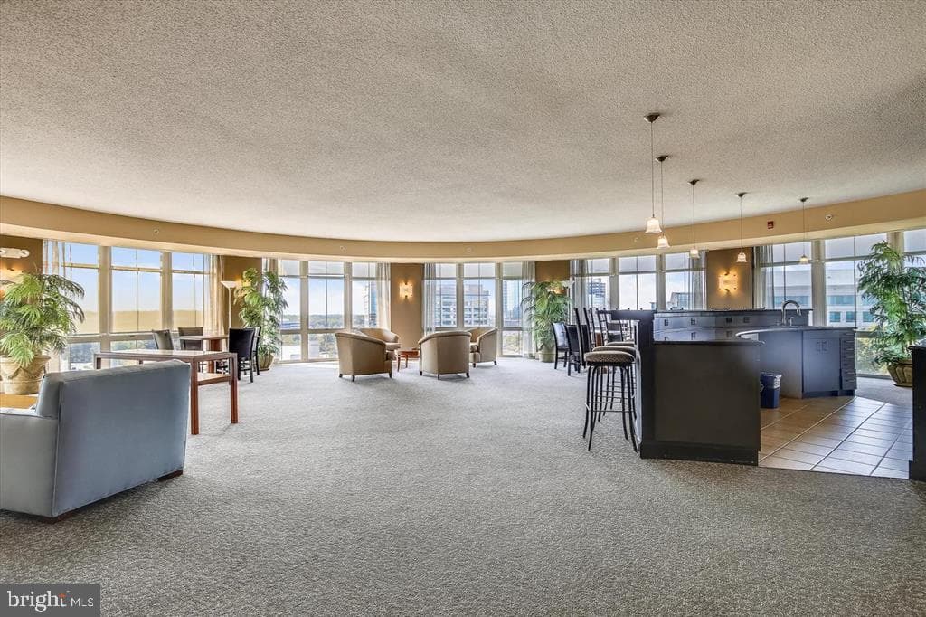11800 Sunset Hills Road #815 photo 33